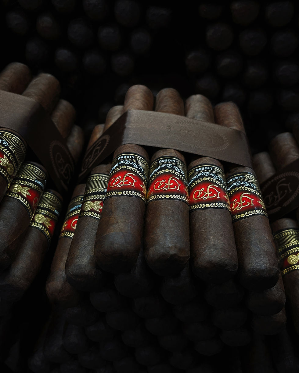 La Flor Dominicana Ligero Cabinet L-500 - La Flor Dominicana cigar
