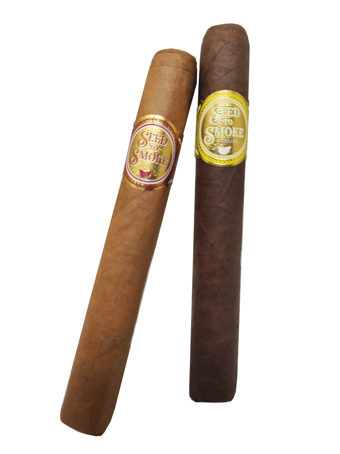 Rocky Patel Seed To Smoke Classic Churchill