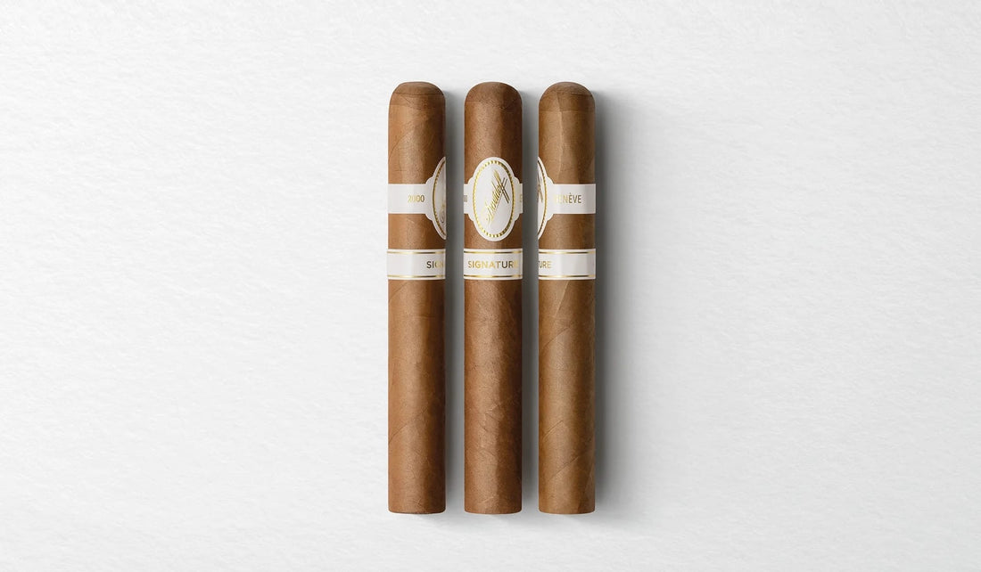 Outcast Corona Gorda - image coming soon