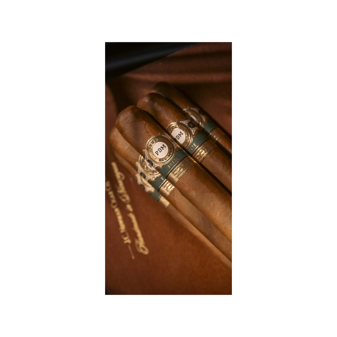 Perla Del Mar Shade Robusto - J.C. Newman cigar